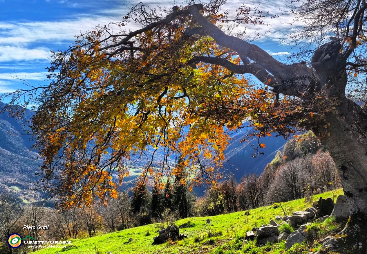 48 Bei colori autunnali.jpg